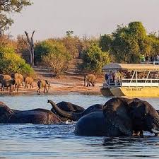 Chikondi Safaris and Tours