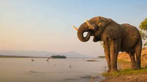 Mandy Valley Tours and Safaris