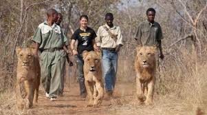 Mukuni Big 5 Safaris Limited