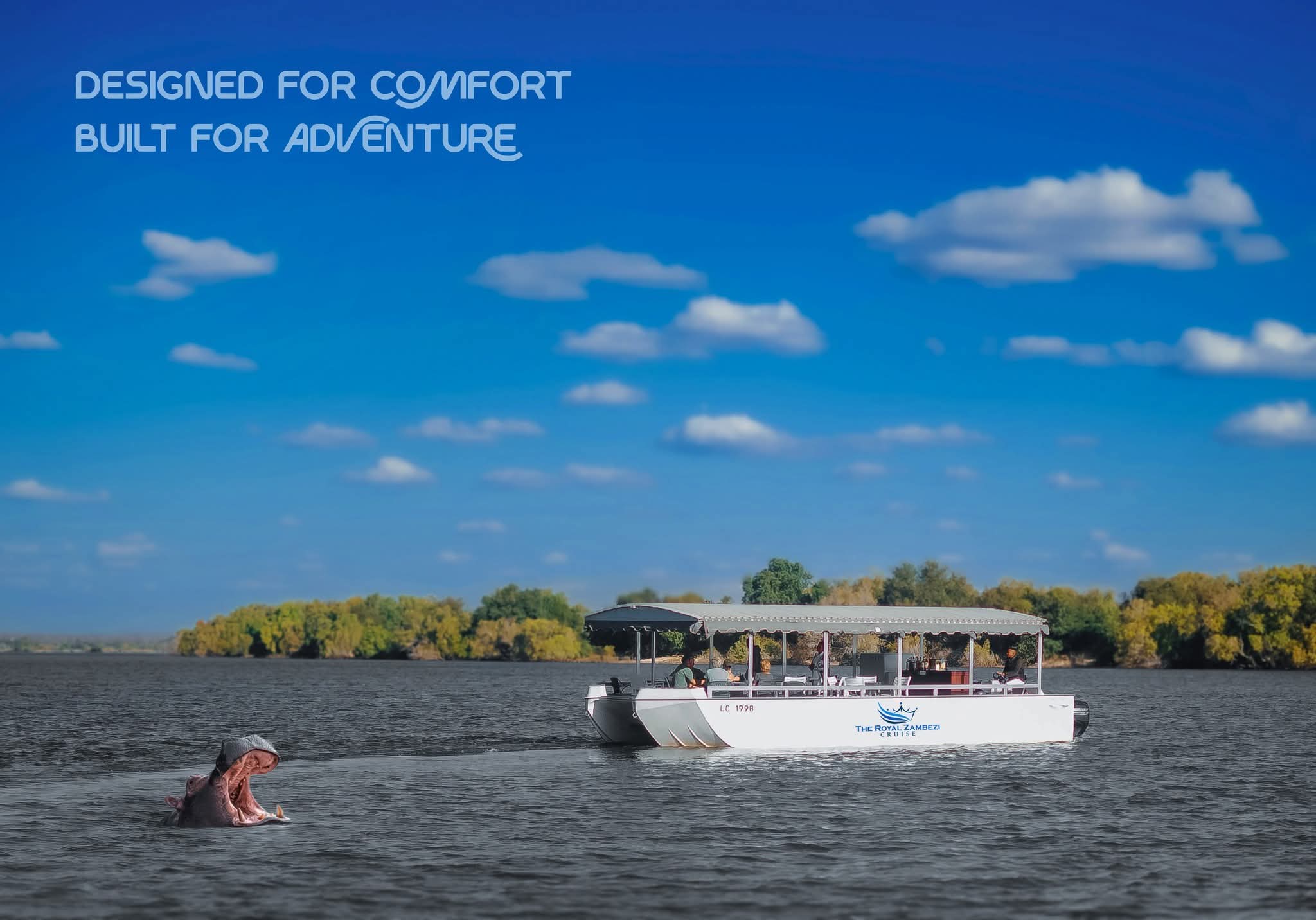 Revival Safaris & Tours